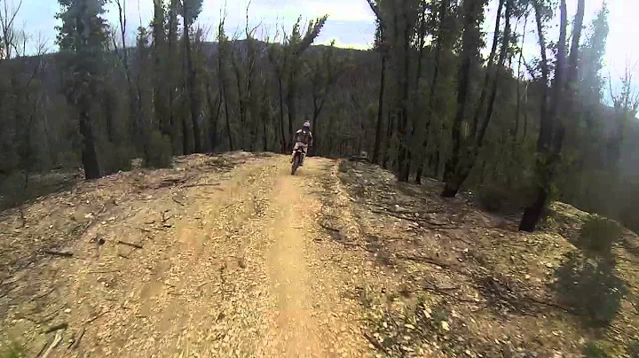 Bush Riding Glenmaggie Dirt Bike Riding