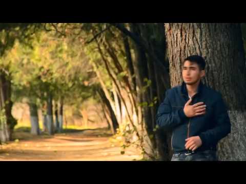 გოგო შევიდა კაფეში