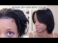 Rinse + Silk Blowout | My 3 Month Routine | START to FINISH