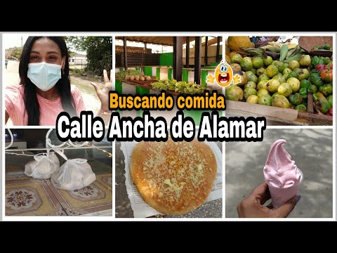 Buscando COMIDA EN