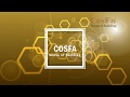 Vẻ Đẹp Tấm Xuyên Sáng COSFA VIETNAM