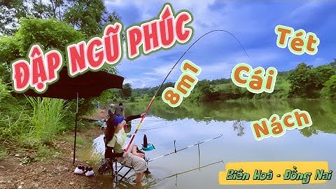 Tập 6 | Câu cá bắp đùi bán thiên nhiên tại đập Ngũ Phúc | VY HAN FISHING