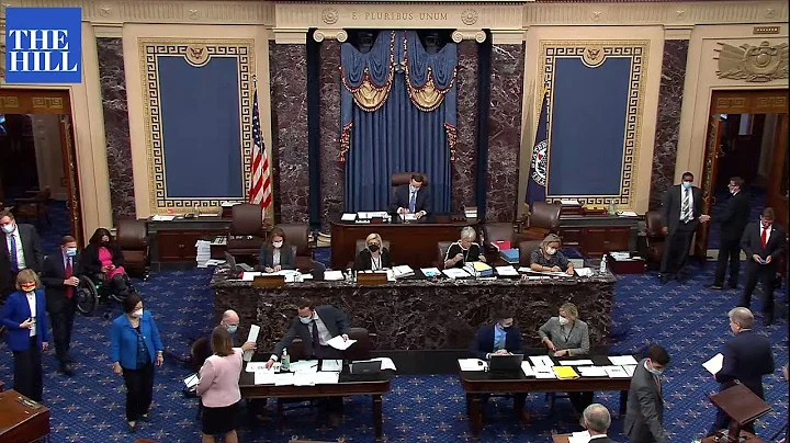 Senate ERUPTS in cheers after agreeing to voice vote