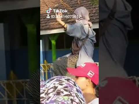 jilbab viral