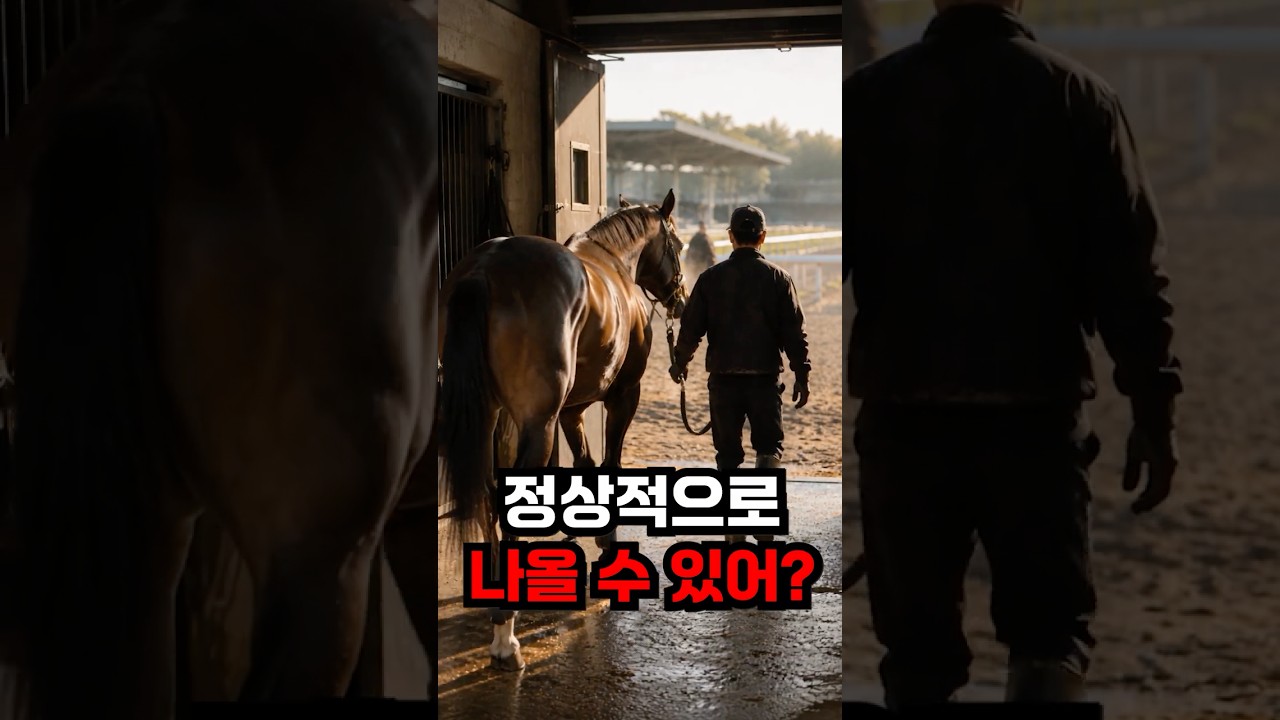 요즘 출주제외마가 많은 이유는..?