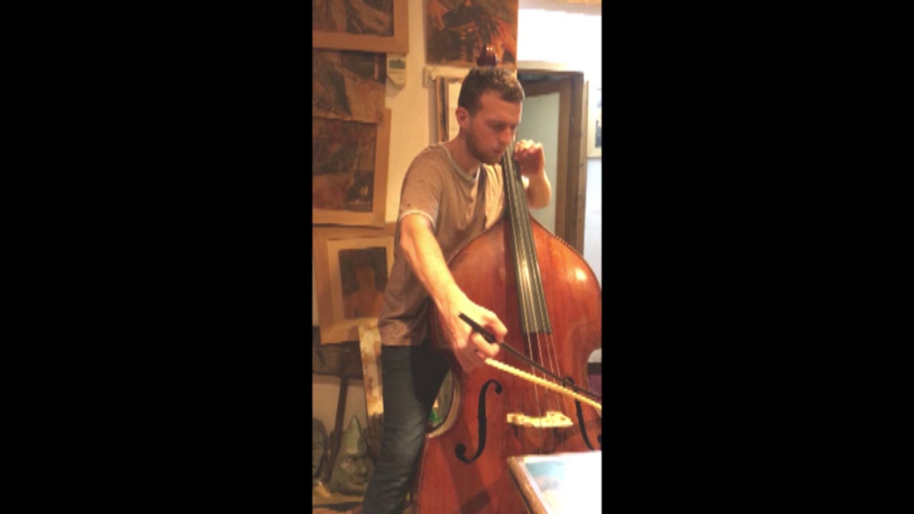 Vanhal double bass concerto YouTube