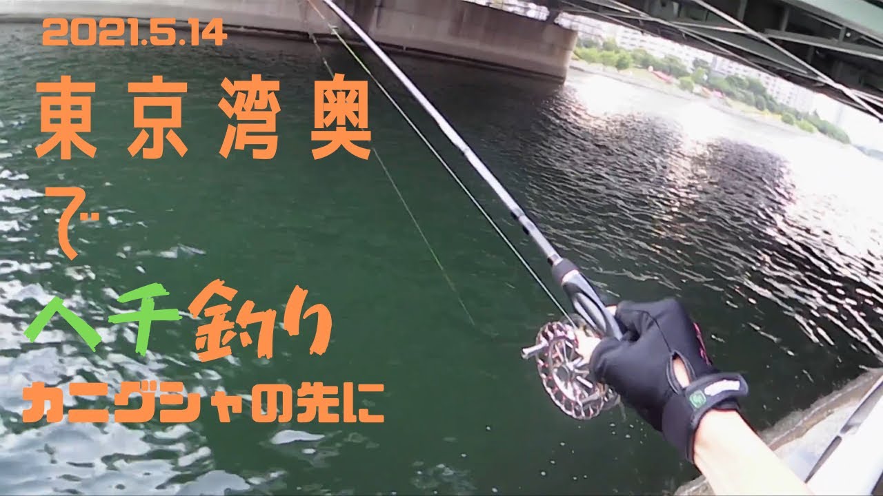 チヌ 東京湾奥にてヘチ釣り21年5月14日 カニグシャ連発 Youtube