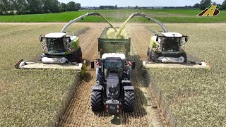 Großeinsatz GPS Getreideernte 2023 - 2 Claas Häcksler 6 Fendt Traktoren 3 Scania LKW Lohnunternehmen
