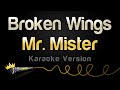 Mr mister  broken wings karaoke version