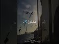 يشبهك قلبي أصيل هميم حلات واتس