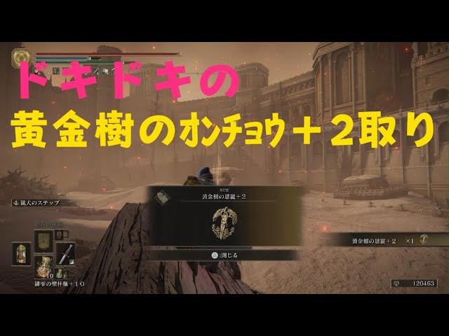ELDEN RING PS5 _ ドキドキの黄金樹の恩寵＋2取り - YouTube