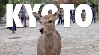Things to do in Kyoto | Kyoto Travel Guide