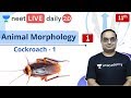 NEET: Animal Morphology - L1 | Cockroach | Class 11 | Live Daily 2.0 | Unacademy NEET | Sachin Sir