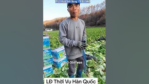 Lao động thời vụ ở Hàn Quốc, những điều bạn chưa biết.