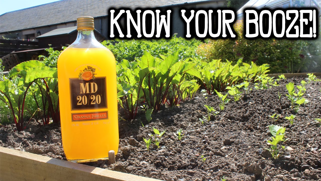 Know Your Booze Md Youtube Know Your Booze Md Youtube