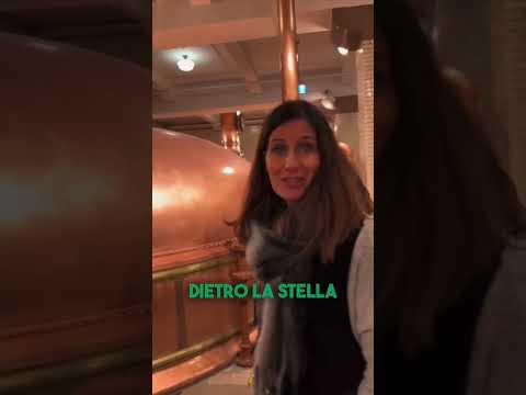 Video: Tutto sull'esperienza Heineken ad Amsterdam