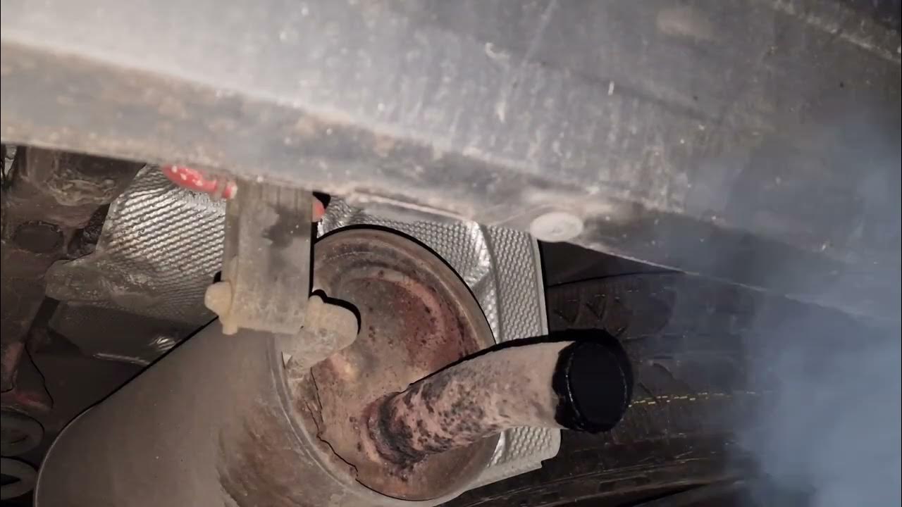 Dacia Logan 1.6 MPI EXHAUST SOUND REVS START UP YouTube