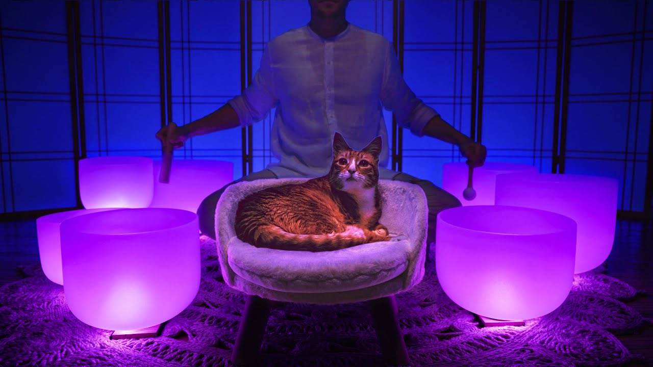 **PARASYMPATHETIC NERVOUS SYSTEM** Sound Bath For Stress Relief | Crystal Singing Bowls **PARASYMPATHETIC NERVOUS SYSTEM** Sound Bath For Stress Relief | Crystal Singing Bowls