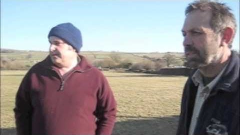 Sheep Dog training with Michael and Nap