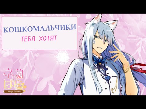 Я ПРОСТО ХОТЕЛА НОРМАЛЬНОГО МУЖИКА: NEKOPARA - Catboys Paradise