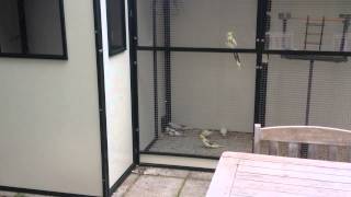 Eerste Uitvlieger Voor Tweede Keer Ontsnapt