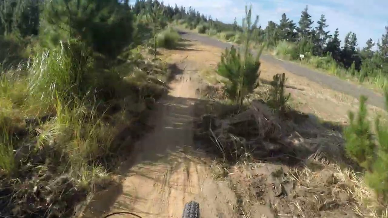 WOODHILL. OVER & OUT.  DONT LIKE THE ENDING.