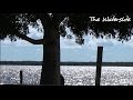 The Waterside - 15 minutes of peaceful nature views in 1080p