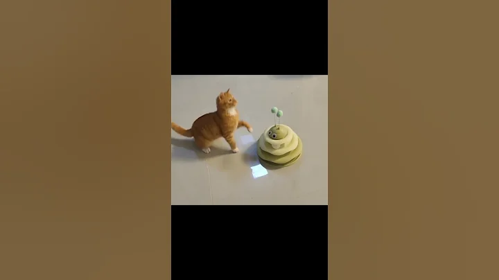 Watch the video about 🫩 #cat #catlover #cats #funny #adoreble #pets #cute #random #animals #funnycats #shorts #video