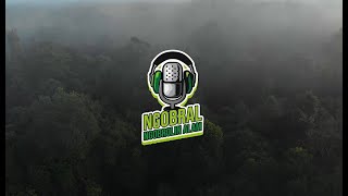 #NGOBRAL: Kolaboraksi Untuk Hutan Yang Lestari (part 2)