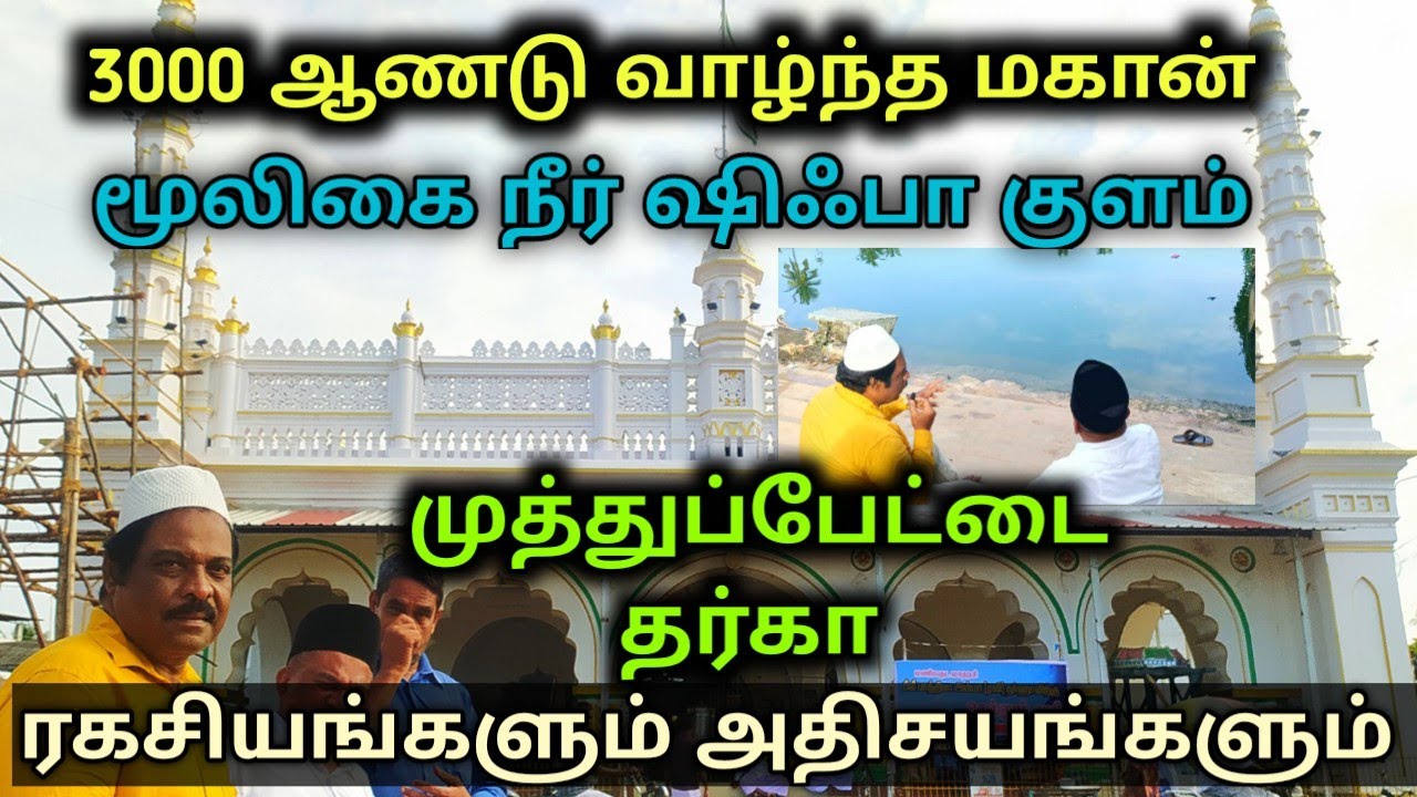 3000 ஆண்டுகள்  வாழ்ந்த அவுலியா, மூலிகைநீர் நிறைந்த ஷிஃபா குளம், முத்துப்பேட்டை தர்கா ரகசியங்கள் 