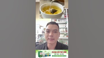 Cà gai leo Tuệ Linh. Giúp mát gan - giải độc . Bảo vệ tế bào gan