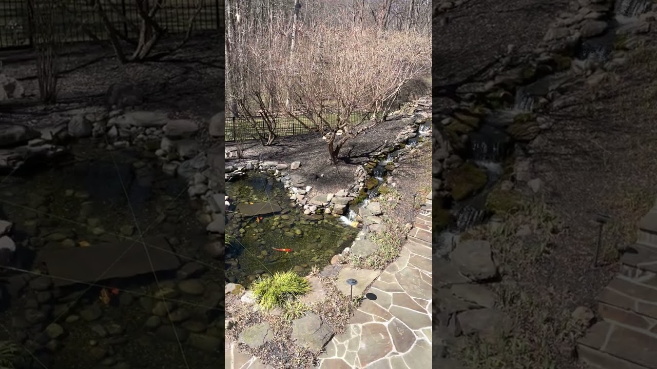 Building into a Hillside | 