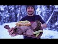 Savory Alaska Moose Meat | Cooking Wild Game