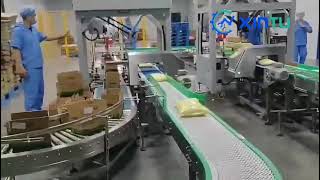 Parallel Robot Case Packing Line and robotic arm palletizer for bagged products-robot case packer