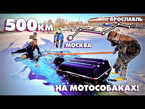 УТОПИЛИ БУКСИРОВЩИК!!! 500км на МОТОСОБАКАХ! Из Москвы в Ярославль с ПРИКЛЮЧЕНИЯМИ! Серия 2