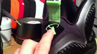 Nike LeBron 9 Dunkman