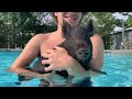 Swim Trudy! #flipflopfarmer #pigtrudy