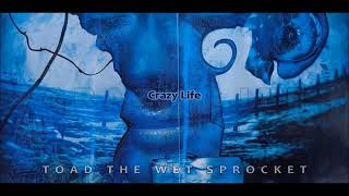 Toad The Wet Sprocket - Crazy Life | HQ | + [ English Lyrics ] Wealth