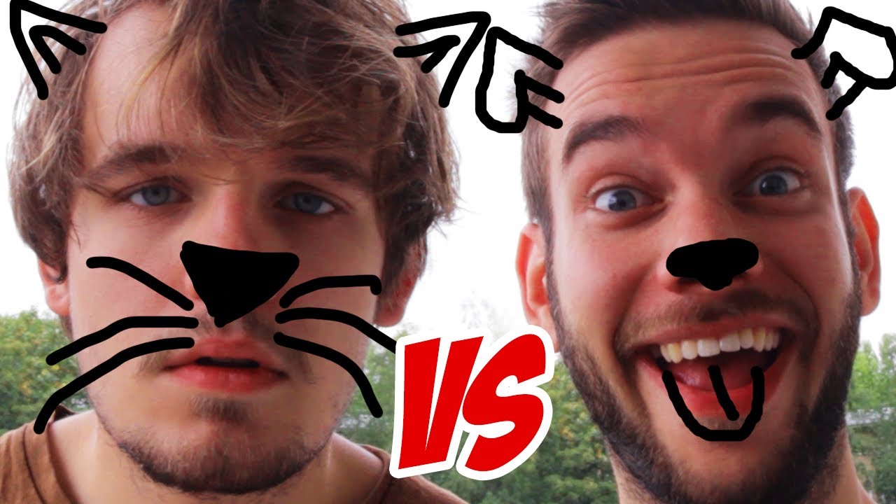 Hund Vs Katze Wenn Tiere Menschen Wären