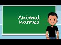 Learn Dutch - Animal Names - Lesson 14