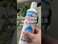 🍀間違えると逆効果　秋の肥料のやめどき🍀【☘Life with Houseplant】2610-1#shorts