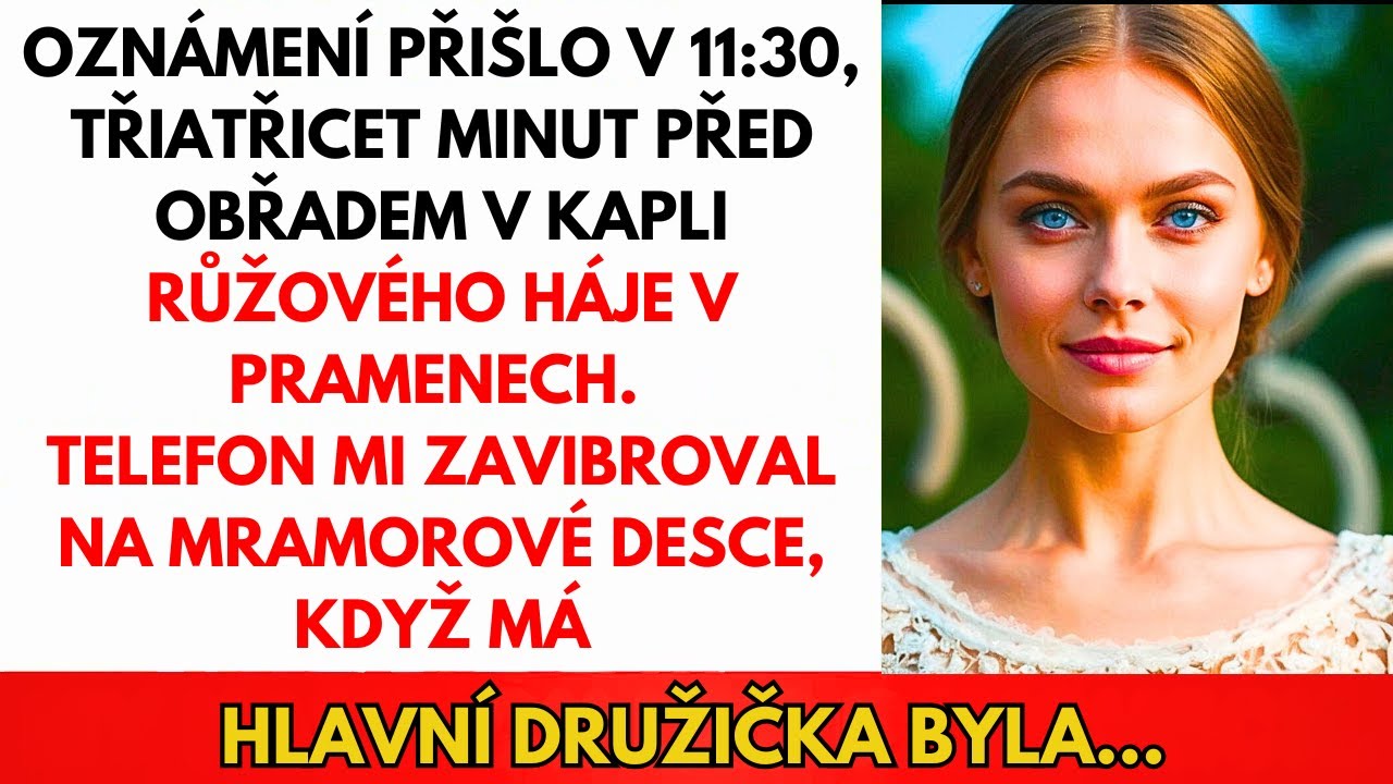 Rodiče Mi Zmrazili Účty V Den Svatby — Tak Jsem Zmrazila Jejich Penzijní Fond