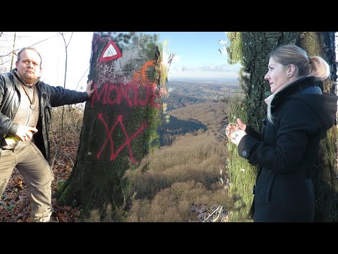 Video: Znanstvenici Su Pronašli Pauka Dugog 40 Centimetara. - Alternativni Pogled