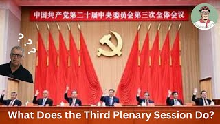What is the third plenary session