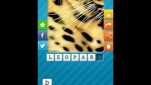 Close Up Animals 2015 Level 6 Answers 1-10