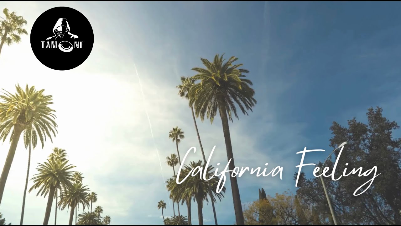 DJ Tamone - California Feeling ( 2025 Video-Edit)