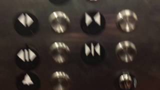 Chestnut Hill MA Thyssenkrupo Hydraulic Elevator @ Showcase Cinemas Super Lux ,  The Street