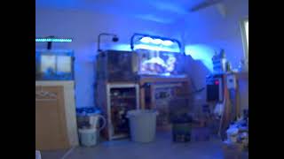 Live Camera Axis M1145-L