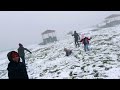 Playing with snow at Georgia | May 2024