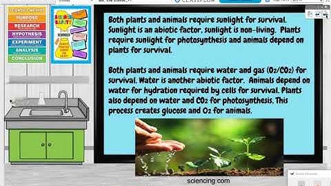 SCI Grade 6 L6.3.1 Biotic and Abiotic Factors
